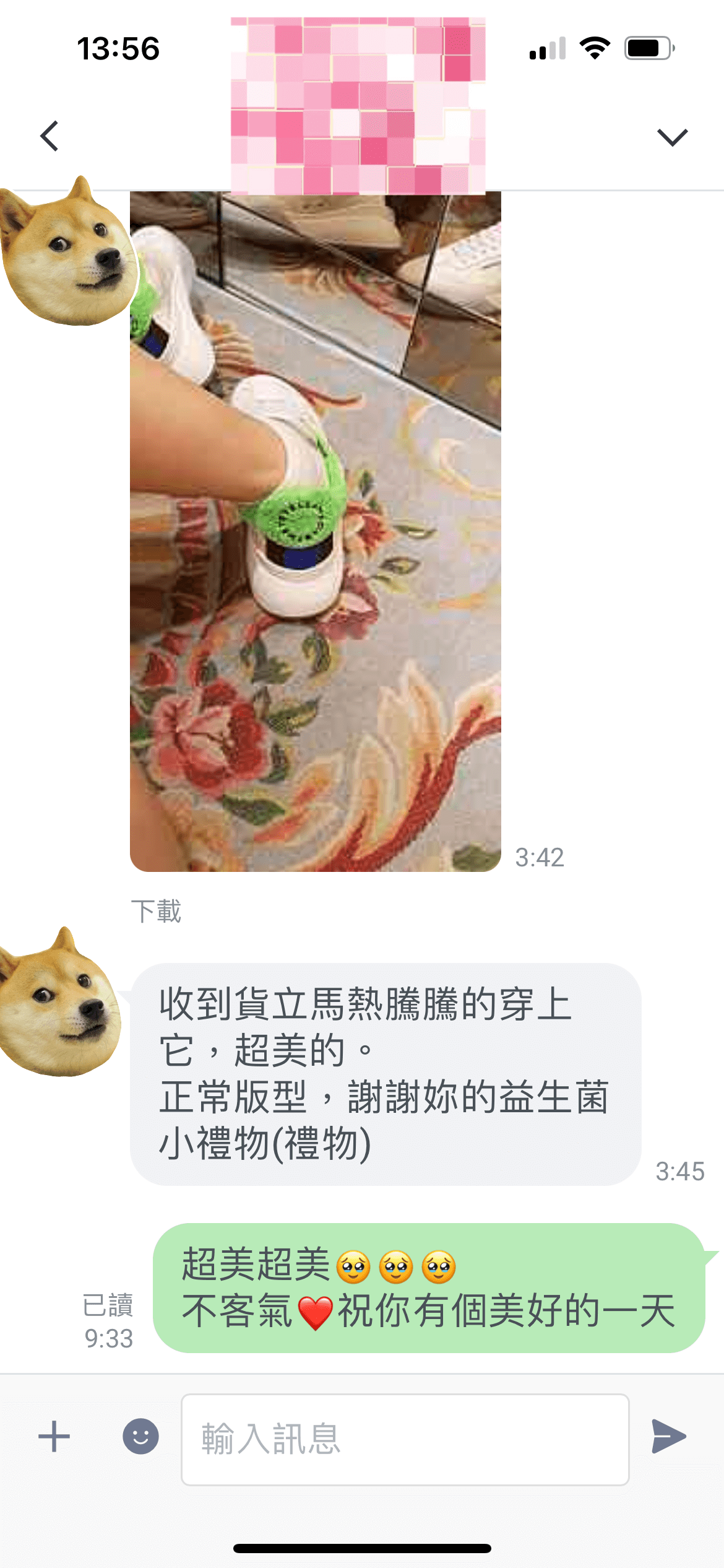 Stella McCartney球鞋開箱～巨美、巨好穿！還送品牌束口後背包！原價5折入手！