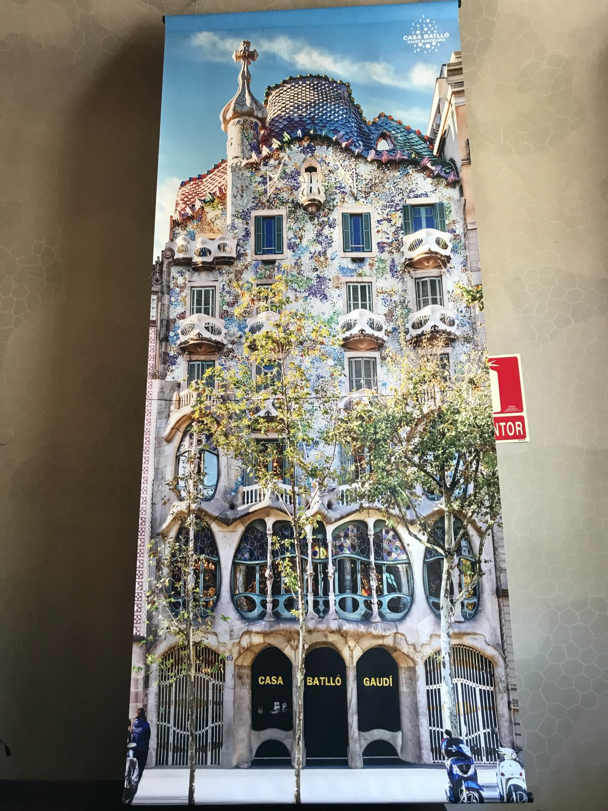 巴特婁之家根本人間海底世界！2022 巴賽隆納高第建築 Casa Batlló 從3D變10D？是大孩子們的遊樂園吧（含最新票價資訊）