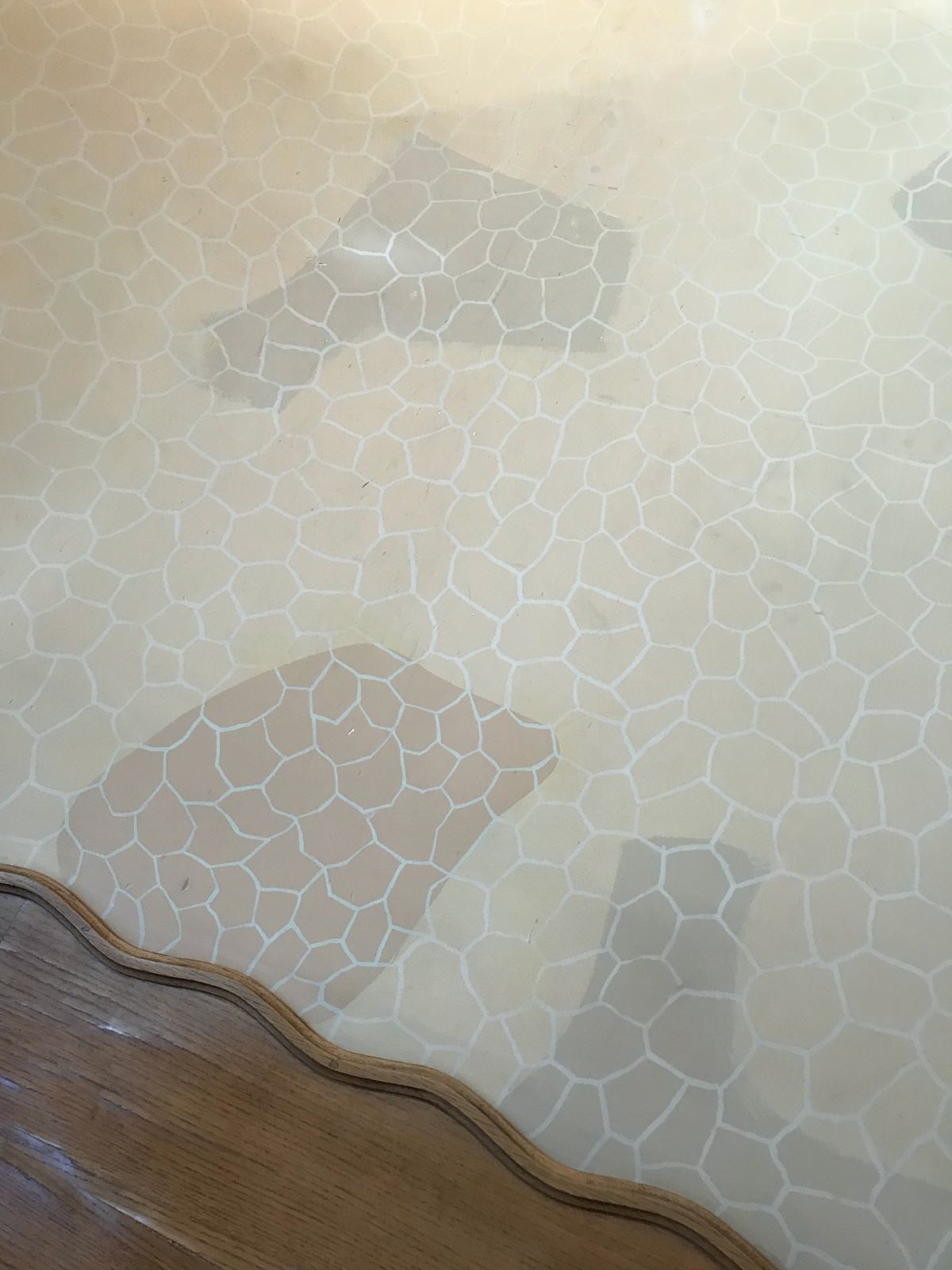 巴特婁之家根本人間海底世界！2022 巴賽隆納高第建築 Casa Batlló 從3D變10D？是大孩子們的遊樂園吧（含最新票價資訊）