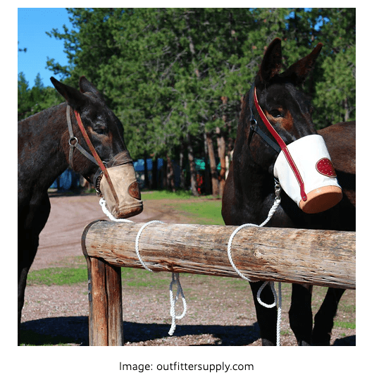 Hermès Picotin Lock 22 大象灰 x 銀扣開箱!愛馬仕菜籃子其實有5個尺寸?Picotin 18 & 22 最新價格?哪裏買最划算? - 第7張圖 Hermès Picotin Lock 22 大象灰 x 銀扣開箱!愛馬仕菜籃子其實有5個尺寸?Picotin 18 & 22 最新價格?哪裏買最划算?