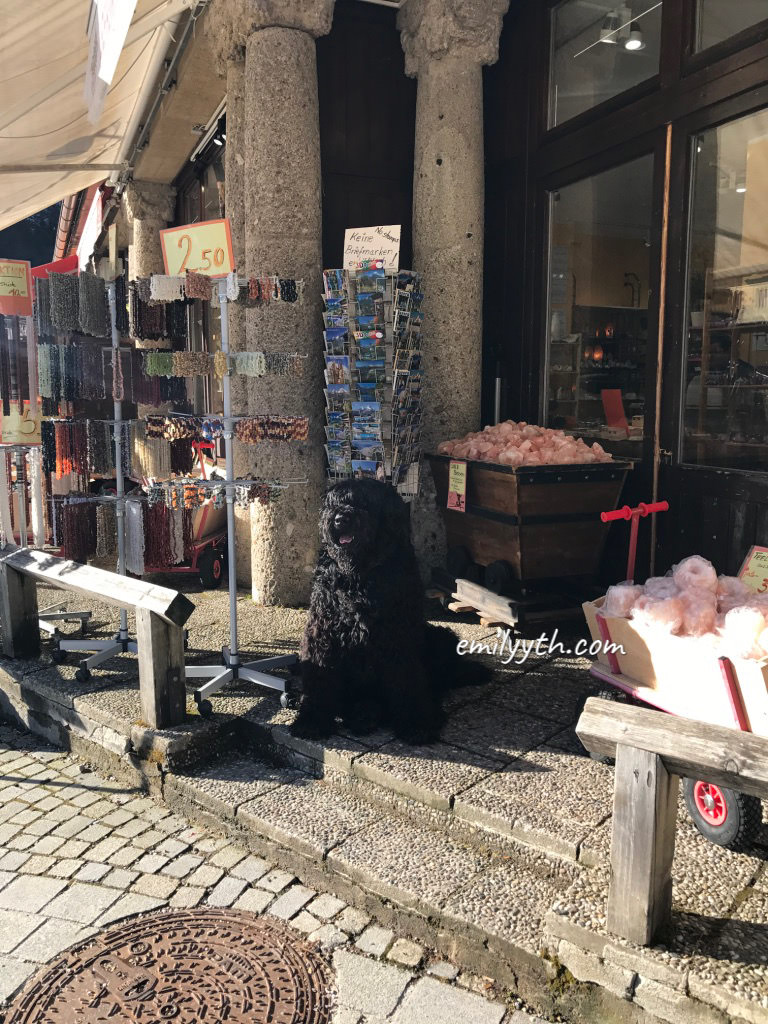 2023 來去國王湖住一晚！德國國王湖(Königssee)自由行攻略！交通、住宿、船票、餐廳詳細介紹。