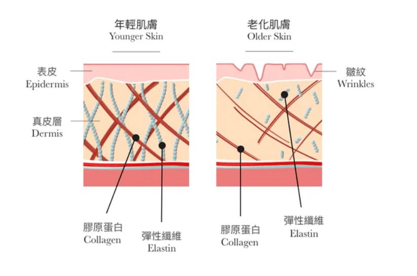 【實測】CurrentBody Skin 射頻美容儀｜居家保養界的鳳凰電波？兩次使用就有感，附對比圖＋使用教學